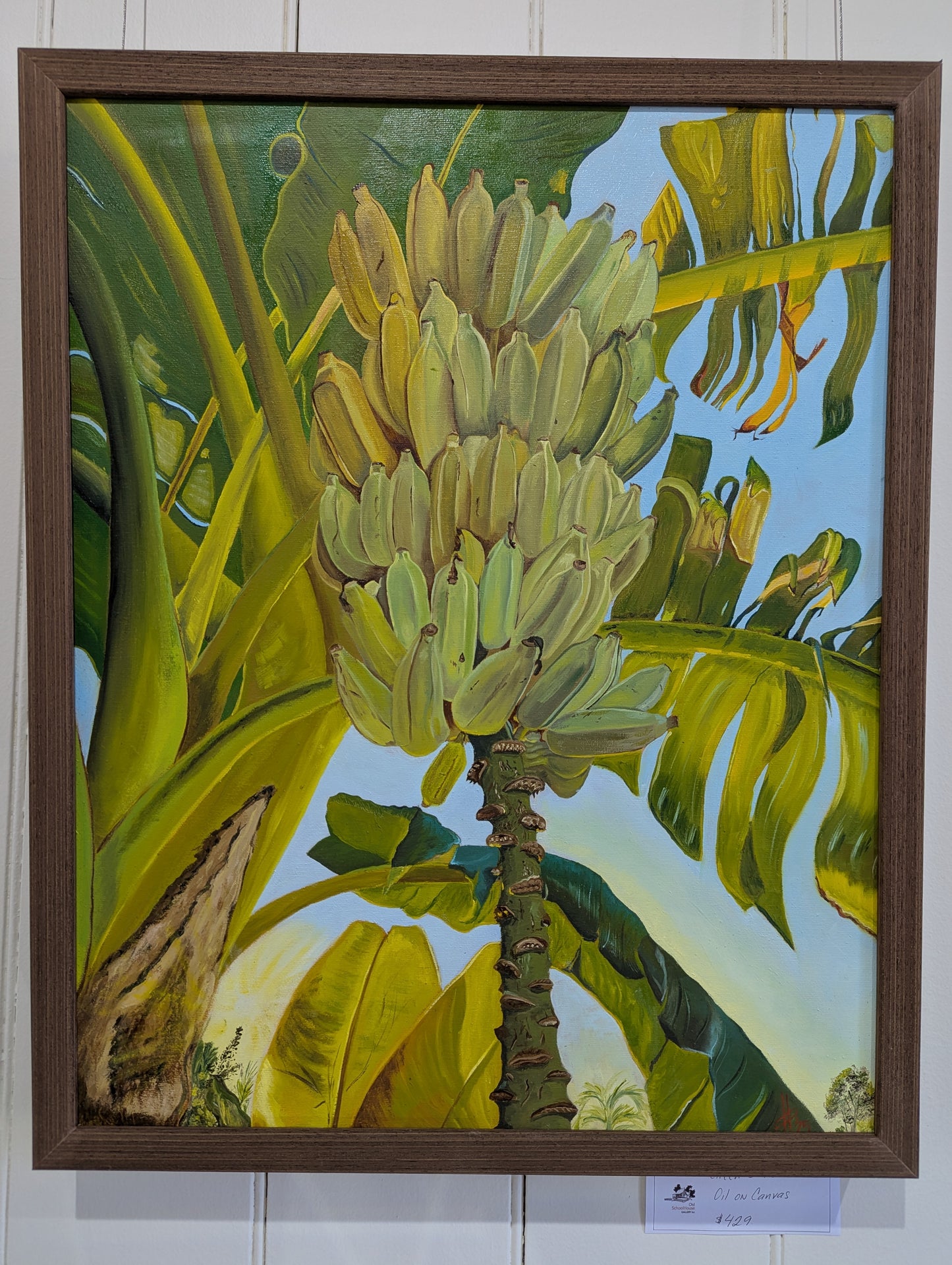 Green Bananas