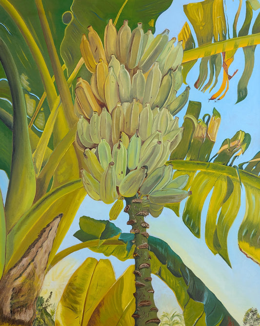 Green Bananas