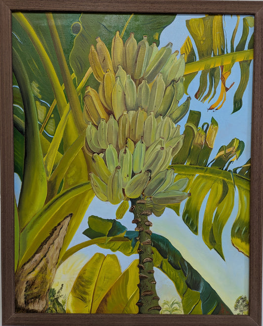 Green Bananas